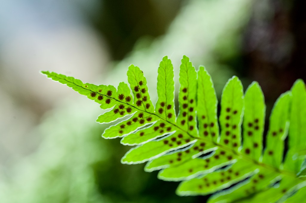 Parallel Lives and the Warping of&nbsp;Time.