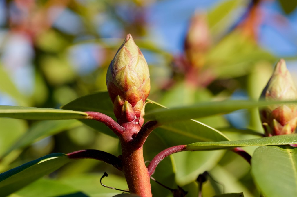 When the Extraordinary Becomes, Well…Ordinary.