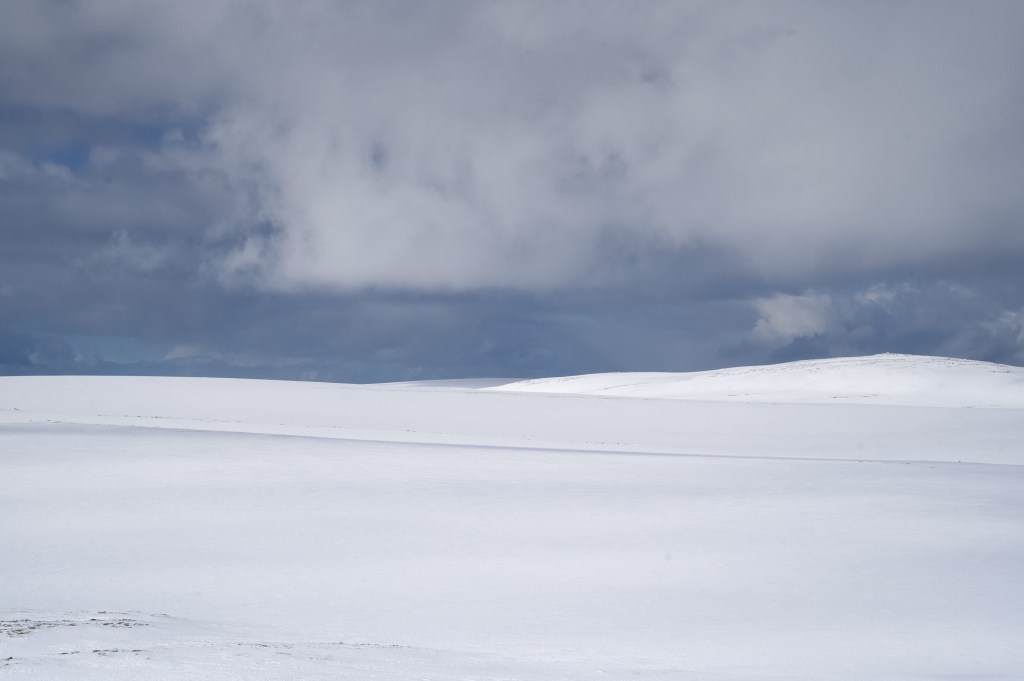 On the Top of the World and Not Alone…