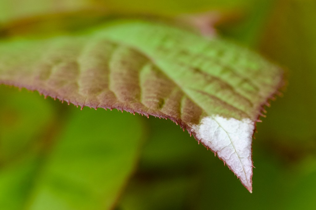 Communication Breakdown.