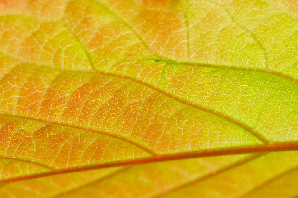 Det Finnes Ikke Dårlig Vær, Bare Dårlig&nbsp;Klær.