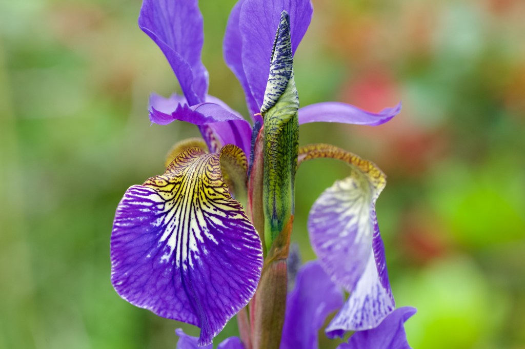 When Geopolitics Hit&nbsp;Home