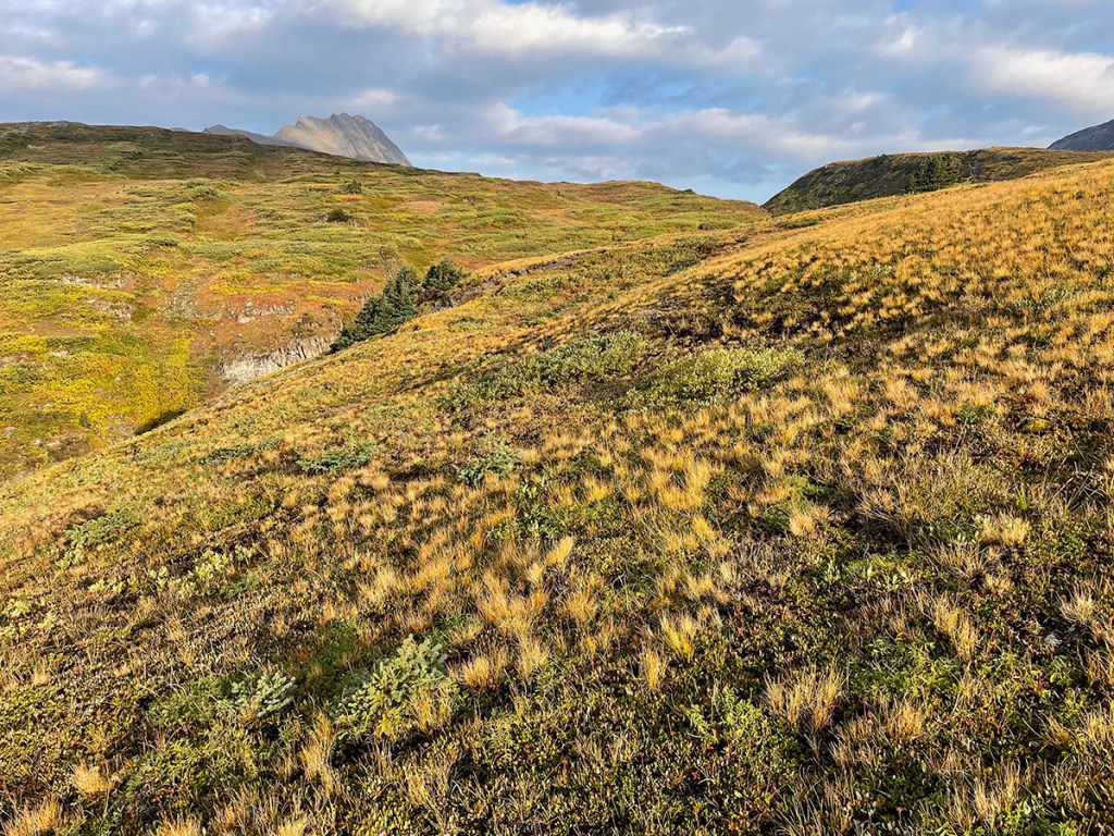 10 Days, 100 Hours: Vipassana